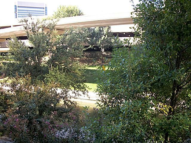 1st image of 330 Las Colinas Blvd #256