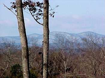 2nd image of 130 Oak Knoll Dr
