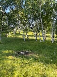 1st image of 15370 Mallard Rd