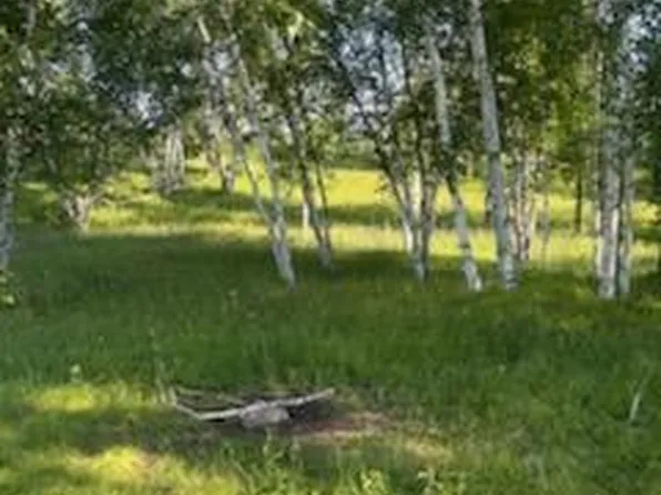 15370 Mallard Rd, Brook Park, MN 55007