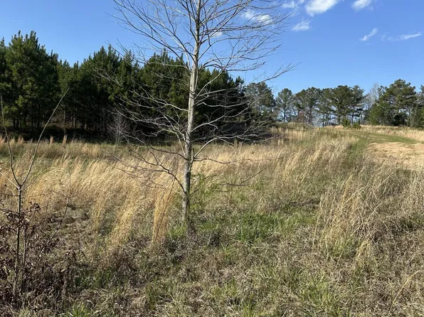 3 Obed Loop, Dadeville, AL 36853