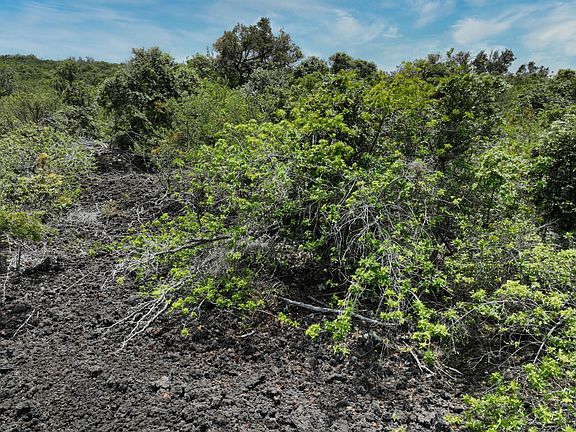 5th image of MAUNALOA AVE