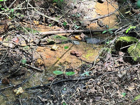 5th image of 81 County Road 500