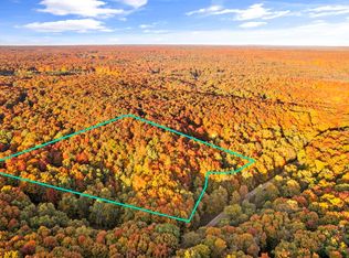 7616 N Maple Valley Rd NE, Mancelona, MI 49659