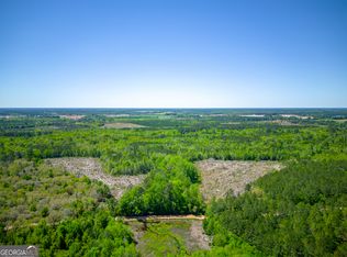 0 Ward Boyette Rd, Bristol, GA 31518