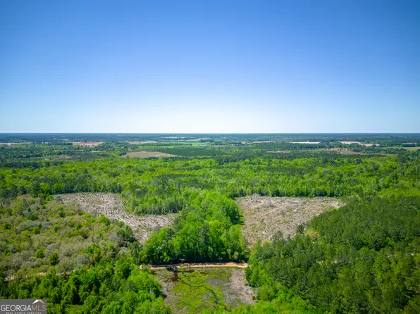 0 Ward Boyette Rd, Bristol, GA 31518