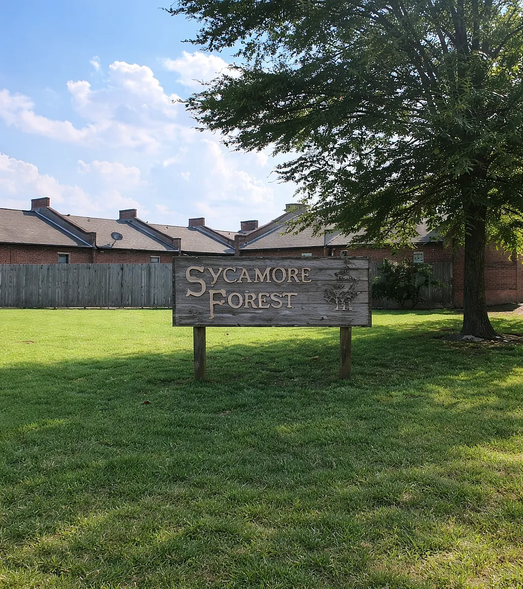 Sycamore Forest - F57 — Photo 1