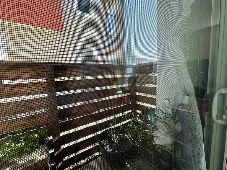 4519 Ocean Ln — Photo 30