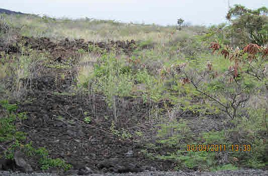 2nd image of Aoao Ave Lot 36