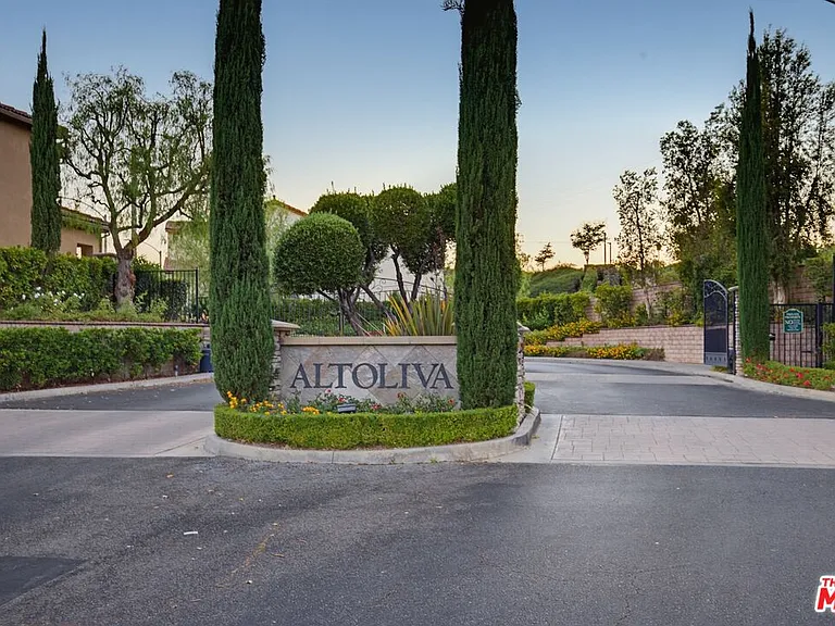 28937 Mirada Circulo — Photo 40