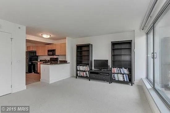 Living Room / Bedroom - 1