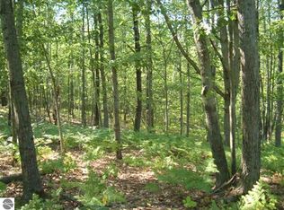 0 Campbell Rd, Rose City, MI 48654