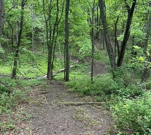 4th image of PARCEL W County Line Rd #A