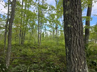 PARCEL E Ritchie Rd #C, Lincoln, MI 48742