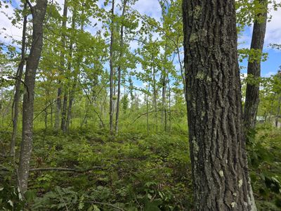 PARCEL E Ritchie Rd #C, Lincoln, MI, 48742