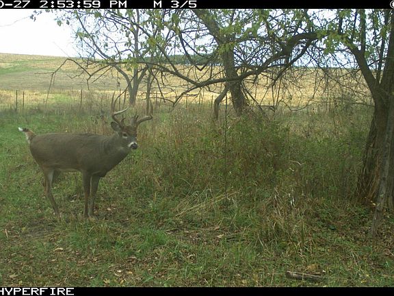 2nd image of 0 Peach Ave
