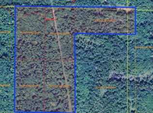 Burrows Rd, Wolverine, MI 49799