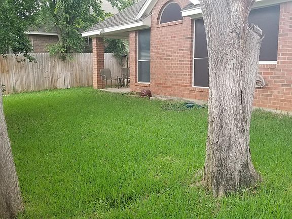 Backyard - Lush Grass with Mature Trees