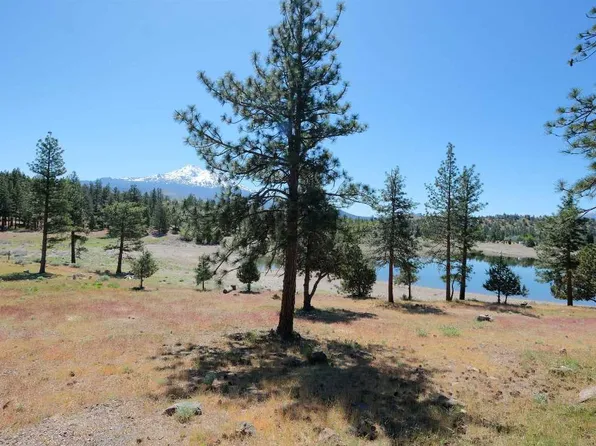 LOT 79 Spearpoint Rd, Weed, CA 96094