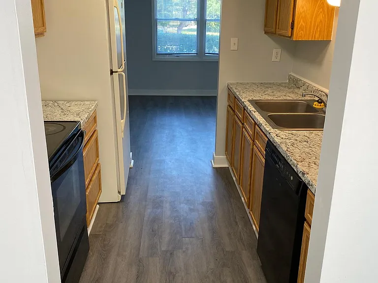9732 Springfield Woods Cir — Photo 10