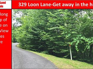 329 Loon Ln, Whittier, NC 28789