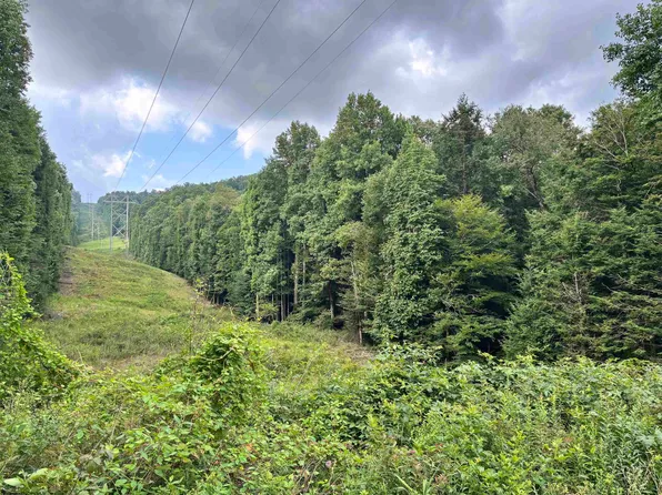 469 Karlen Rd, Pickens, WV 26230