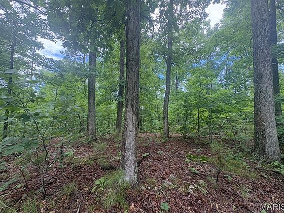 2nd image of 0 County Road 447