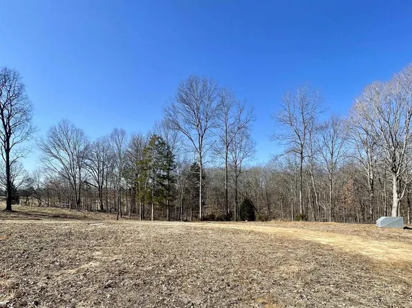 4339 Almo Shiloh Rd, Dexter, KY 42036