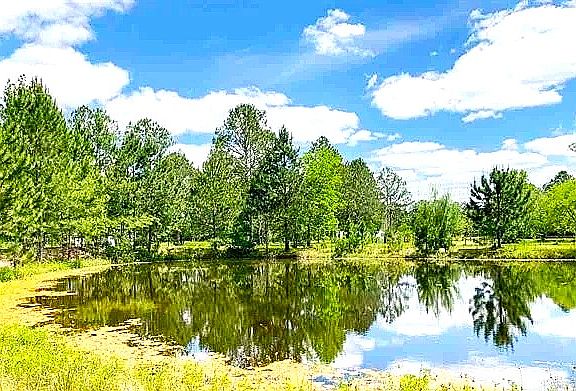 2nd image of 3018 NW County Road 125