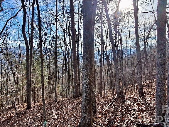 2nd image of 0 Briarwood Rd