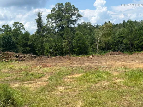 0 Robert Rhodes Rd, Poplarville, MS 39470