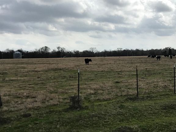 3rd image of 11268 State Highway 296