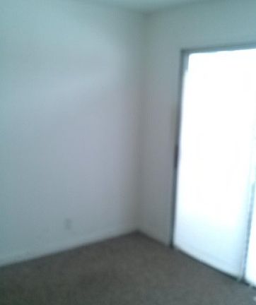 5th image of 237 N Saint John Rd