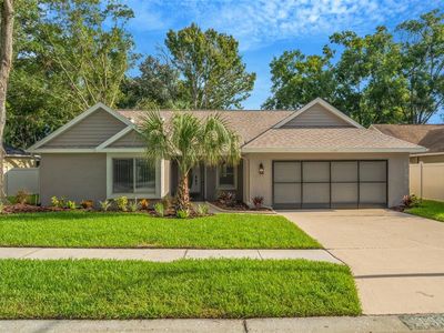 10301 Bellwood Ave, New Port Richey, FL, 34654