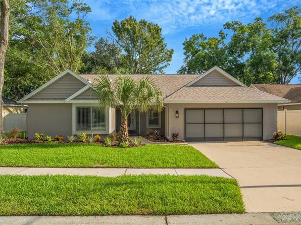 10301 Bellwood Ave, New Port Richey, FL 34654