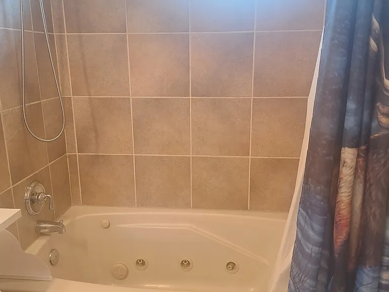 Rear master bathroom full tub and shower.