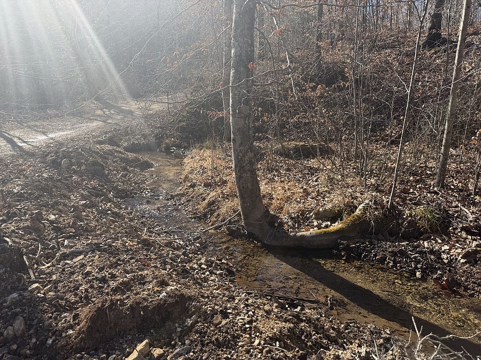 1st image of 240 Golden View Ln