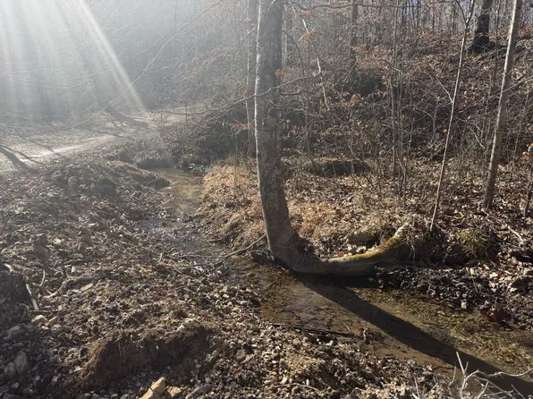 240 Golden View Ln, Hampshire, TN 38461