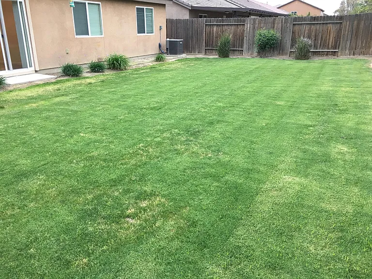 11404 Eresma Dr — Photo 24