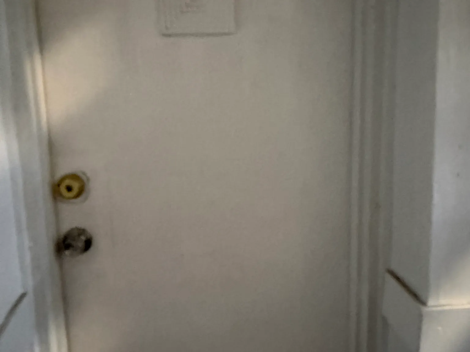 1 bed, 1.0 bath, $1,900 — Photo 1