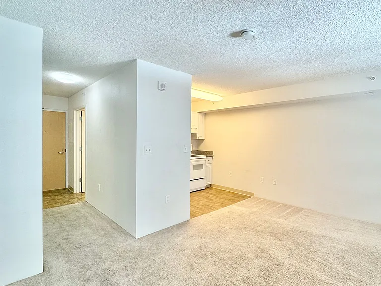 801 South St #305 — Photo 4