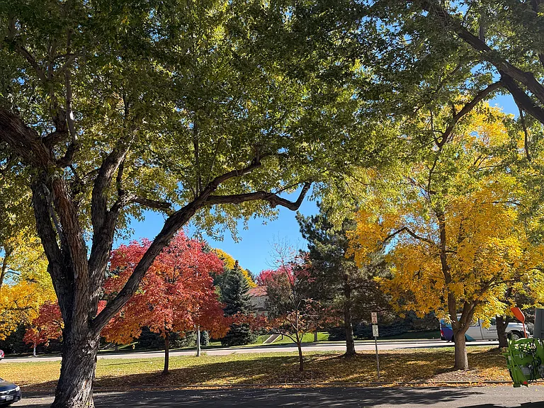 Looking out front door, greenbelt across the street