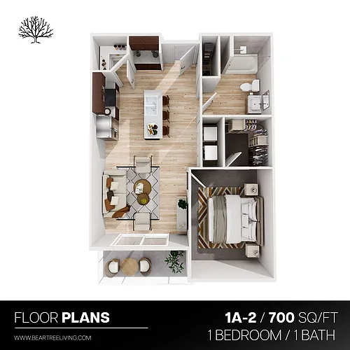 Floor plan 1 Bedroom 1 Bath