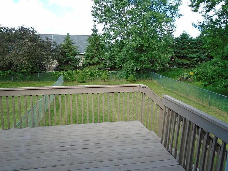 Deck & Backyard