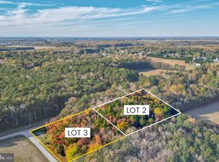 LOT 3 Diamond Farm Rd, Milton, DE 19968