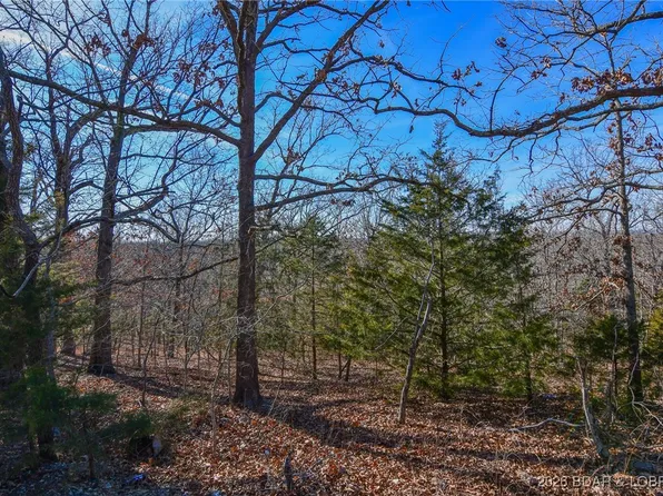 436 Pier 31 Rd, Camdenton, MO 65020