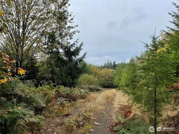 30 Acres Glenwood Road SW, Port Orchard, WA 98367