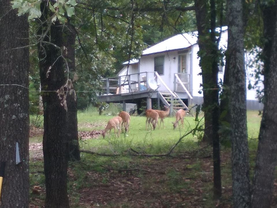 1st image of 37 Pine Tree Ln
