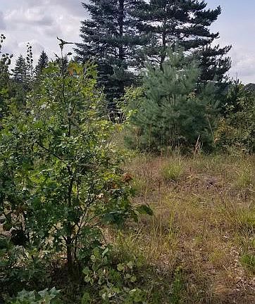 5th image of Xxx Marget Lake Road Bradford Twp