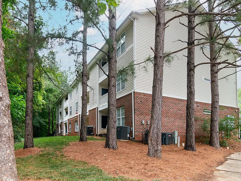 3001 Trailwood Pines Ln #203 — Photo 19